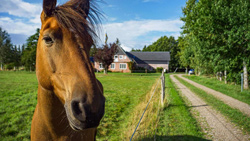 Helles B&B – Havnebyvej 110 – Zimmer & Wohnungen
