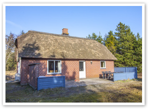 Ferienhaus Langdalsvej 63,
 Rømø